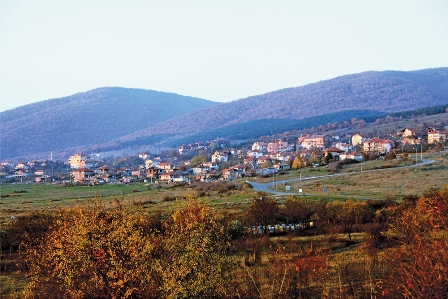 село Кошарица